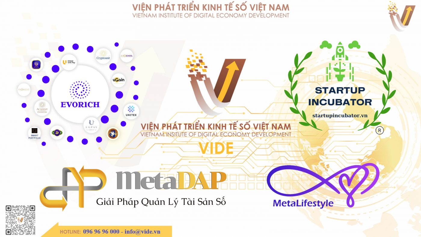Viện Phát triển Kinh tế Số Việt Nam - VIDE